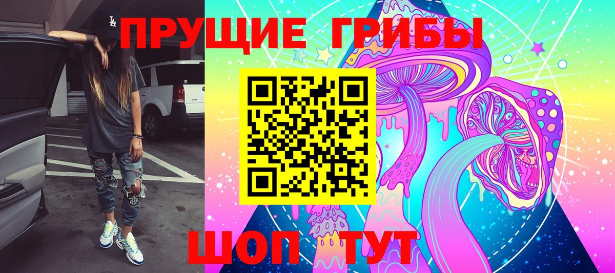 Асбест  Псилоцибиновые грибы Cubensis  Вход с VPN 