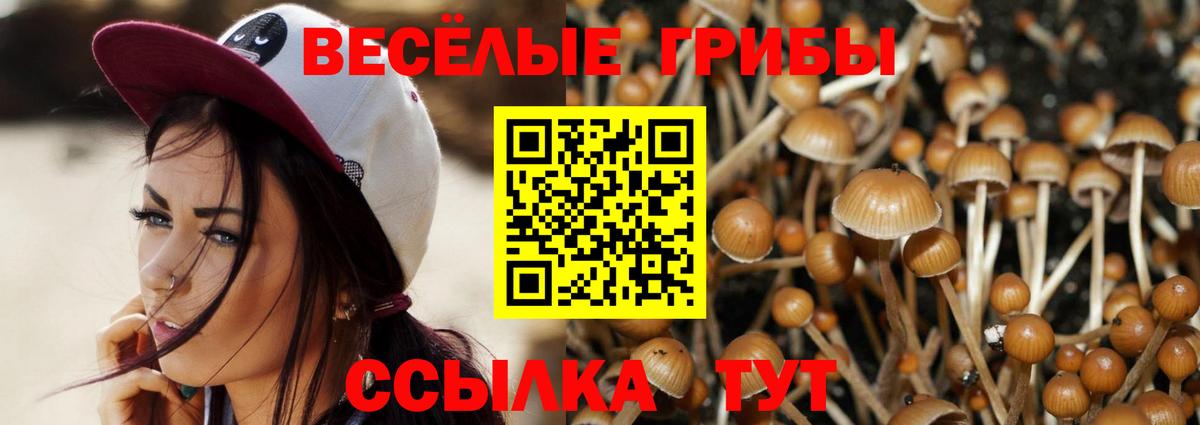 Псилоцибиновые грибы Cubensis Асбест